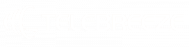 Middleware <br/> partners