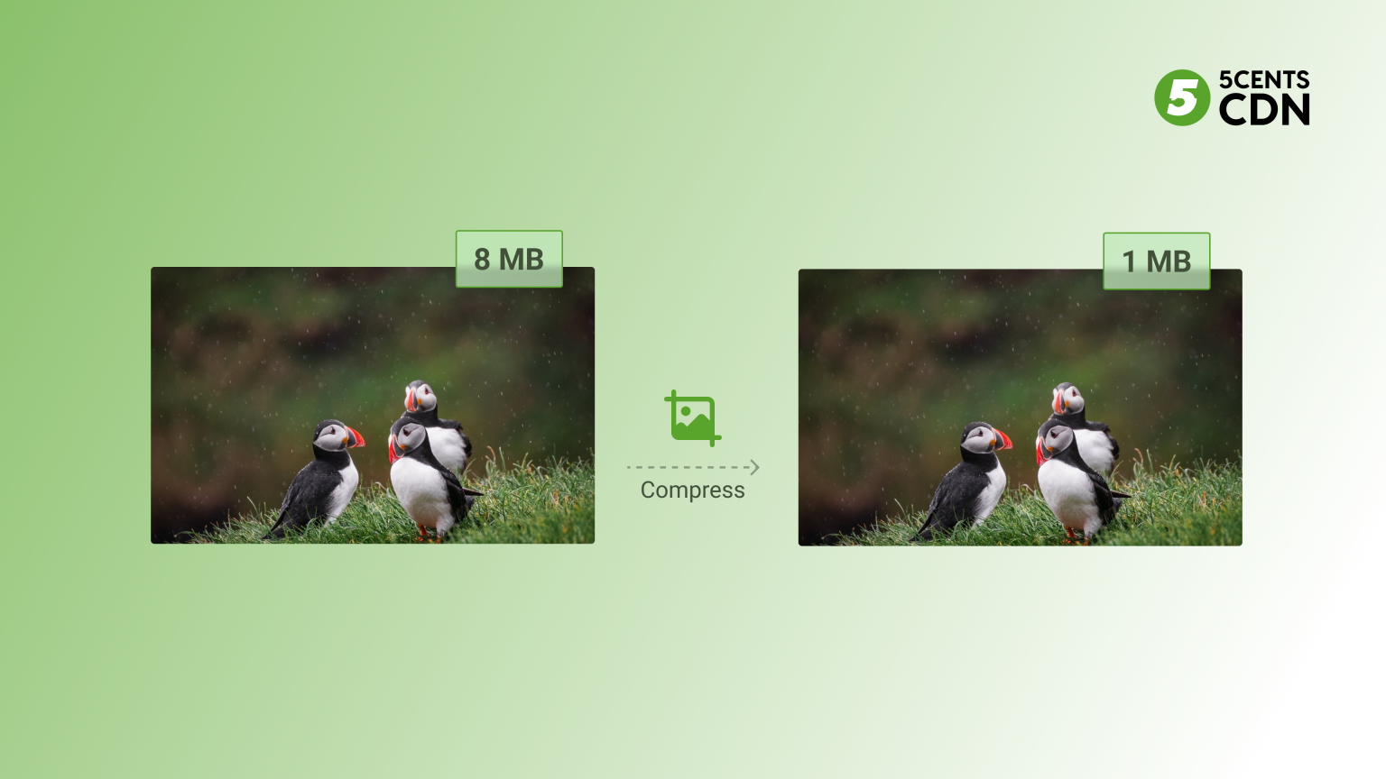 Image Optimization: The Key to Lightning-Fast Website Loading