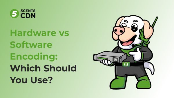 Hardware vs Software Encoding: Which Should You Use?