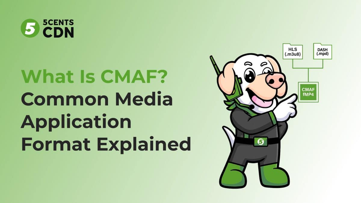 What Is CMAF? Common Media Application Format Explained