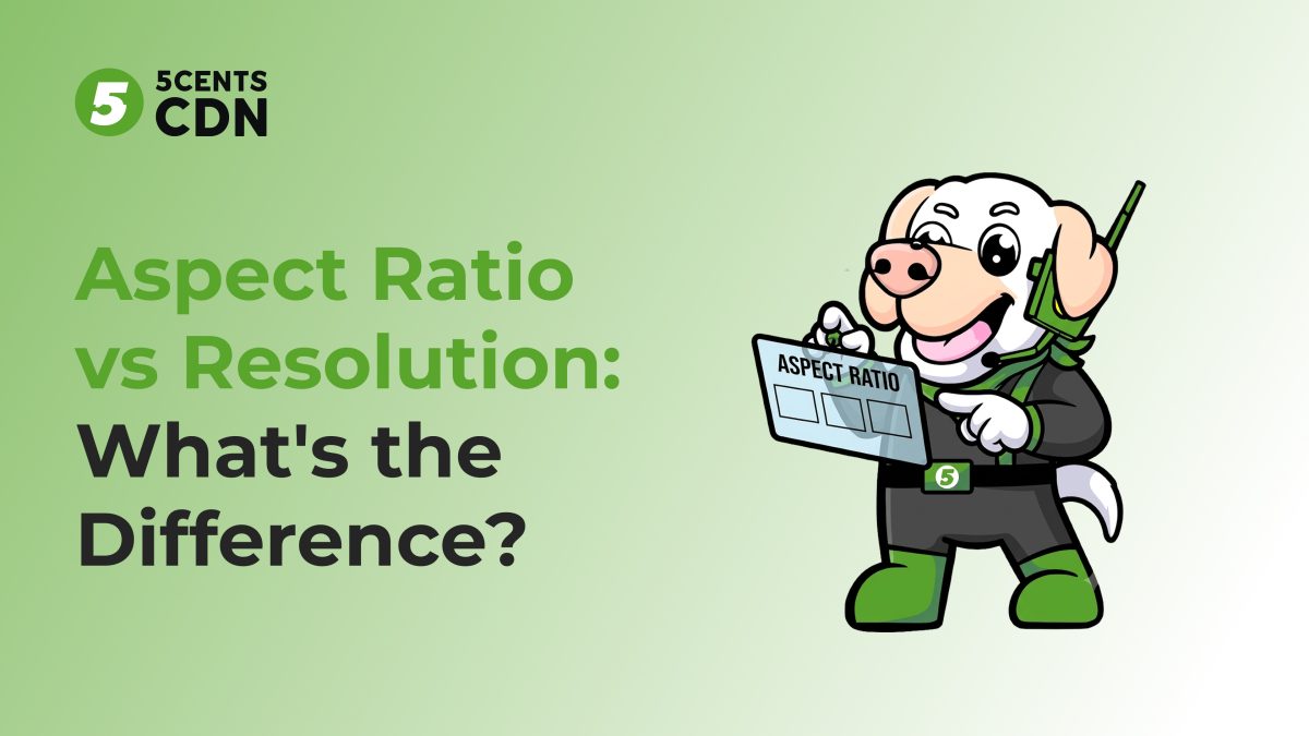 Aspect ratio vs resolution comparison showing shape versus pixel detail
