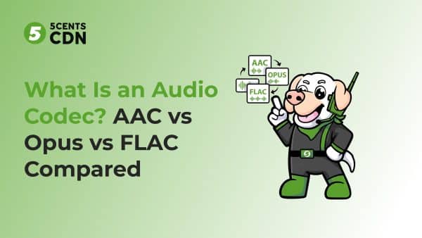 What Is an Audio Codec? AAC vs Opus vs FLAC Compared