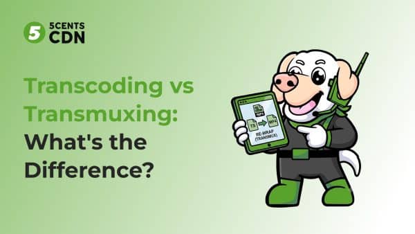 Transcoding versus transmuxing showing rewrapping versus re-encoding video