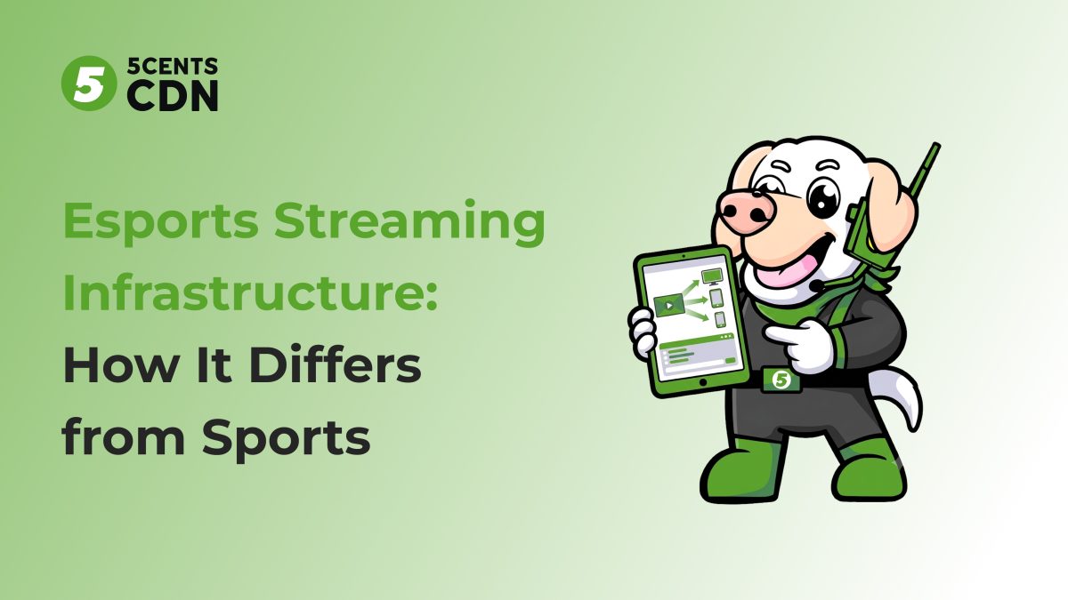 Esports Streaming Infrastructure: How It Differs from Sports