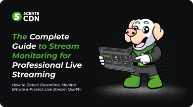 Never Miss a Downtime: The Live Stream Monitoring Guide