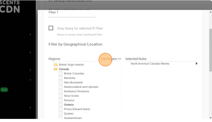 Filter by Geographical Location: Filtering by location lets you choose a region, state, or city for your rule. You can select the regions and click the Add Region.
