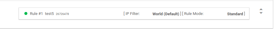 how a rule created in the DNS record looks
