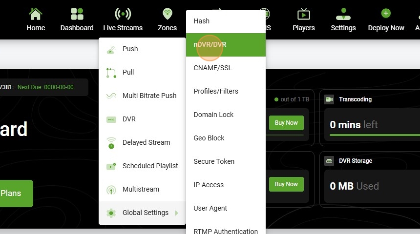 Select nDVR/DVR.