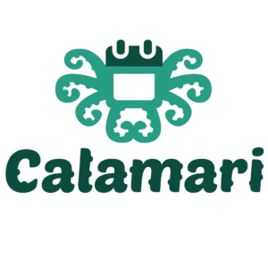 30% discount for 1st payment (monthly/annual) for new clients - Calamari Black Friday Sale